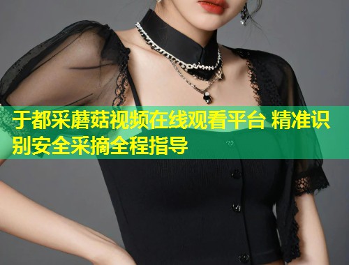 于都采蘑菇视频在线观看平台 精准识别安全采摘全程指导  第1张