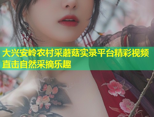 大兴安岭农村采蘑菇实录平台精彩视频直击自然采摘乐趣  第1张